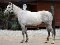 ����å��ǳ��������ɽ�����ޤ�