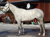 ����å��ǳ��������ɽ�����ޤ�