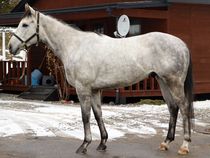 ����å��ǳ��������ɽ�����ޤ�