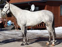 ����å��ǳ��������ɽ�����ޤ�