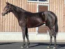 ����å��ǳ��������ɽ�����ޤ�