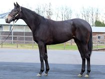 ����å��ǳ��������ɽ�����ޤ�