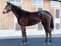 ����å��ǳ��������ɽ�����ޤ�