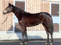 ����å��ǳ��������ɽ�����ޤ�