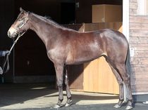 ����å��ǳ��������ɽ�����ޤ�