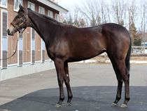 ����å��ǳ��������ɽ�����ޤ�