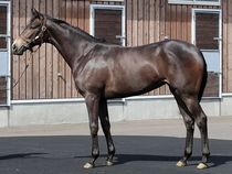 ����å��ǳ��������ɽ�����ޤ�