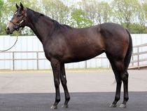 ����å��ǳ��������ɽ�����ޤ�