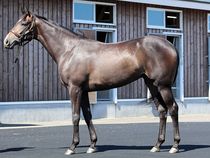 ����å��ǳ��������ɽ�����ޤ�