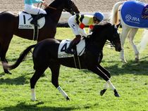 ����å��ǳ��������ɽ�����ޤ�