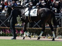 ����å��ǳ��������ɽ�����ޤ�