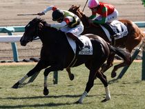 ����å��ǳ��������ɽ�����ޤ�