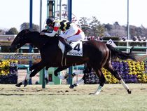 ����å��ǳ��������ɽ�����ޤ�