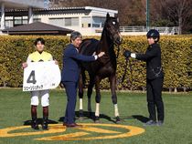 ����å��ǳ��������ɽ�����ޤ�