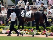 ����å��ǳ��������ɽ�����ޤ�