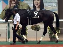 ����å��ǳ��������ɽ�����ޤ�