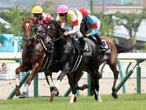 ����å��ǳ��������ɽ�����ޤ�