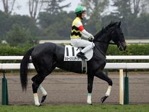 ����å��ǳ��������ɽ�����ޤ�