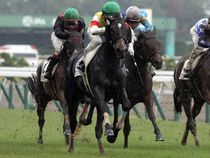 ����å��ǳ��������ɽ�����ޤ�