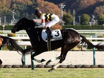 ����å��ǳ��������ɽ�����ޤ�