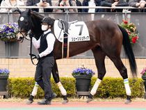 ����å��ǳ��������ɽ�����ޤ�