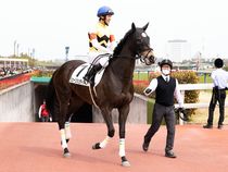 ����å��ǳ��������ɽ�����ޤ�