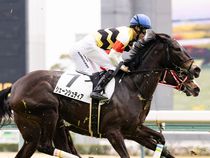 ����å��ǳ��������ɽ�����ޤ�