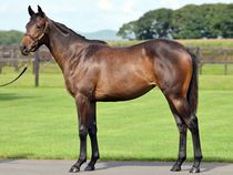 ����å��ǳ��������ɽ�����ޤ�