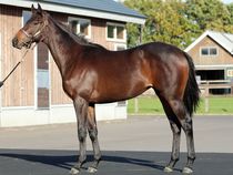 ����å��ǳ��������ɽ�����ޤ�