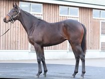 ����å��ǳ��������ɽ�����ޤ�