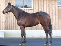 ����å��ǳ��������ɽ�����ޤ�