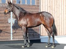 ����å��ǳ��������ɽ�����ޤ�