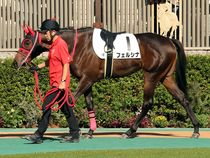 ����å��ǳ��������ɽ�����ޤ�