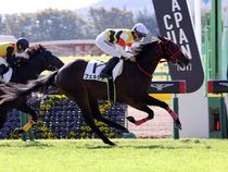 ����å��ǳ��������ɽ�����ޤ�