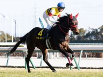 ����å��ǳ��������ɽ�����ޤ�