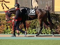 ����å��ǳ��������ɽ�����ޤ�