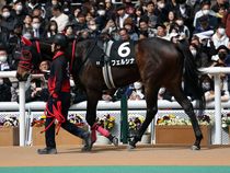 ����å��ǳ��������ɽ�����ޤ�