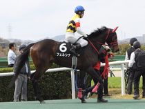 ����å��ǳ��������ɽ�����ޤ�