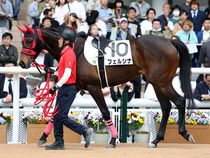 ����å��ǳ��������ɽ�����ޤ�