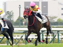 ����å��ǳ��������ɽ�����ޤ�