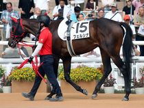 ����å��ǳ��������ɽ�����ޤ�