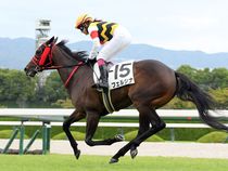 ����å��ǳ��������ɽ�����ޤ�