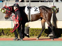 ����å��ǳ��������ɽ�����ޤ�