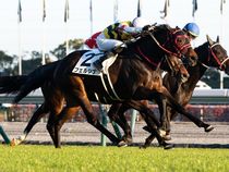 ����å��ǳ��������ɽ�����ޤ�