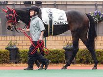 ����å��ǳ��������ɽ�����ޤ�