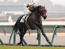 ����å��ǳ��������ɽ�����ޤ�