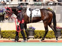 ����å��ǳ��������ɽ�����ޤ�