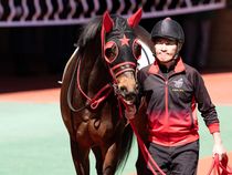 ����å��ǳ��������ɽ�����ޤ�