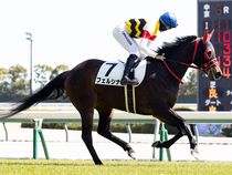 ����å��ǳ��������ɽ�����ޤ�