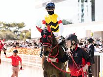 ����å��ǳ��������ɽ�����ޤ�